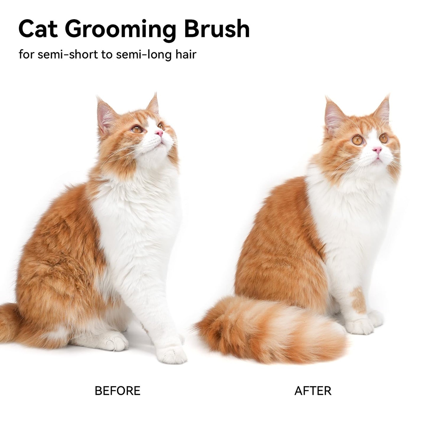 Aumuca Cat Grooming Brush for Long & Short Hair