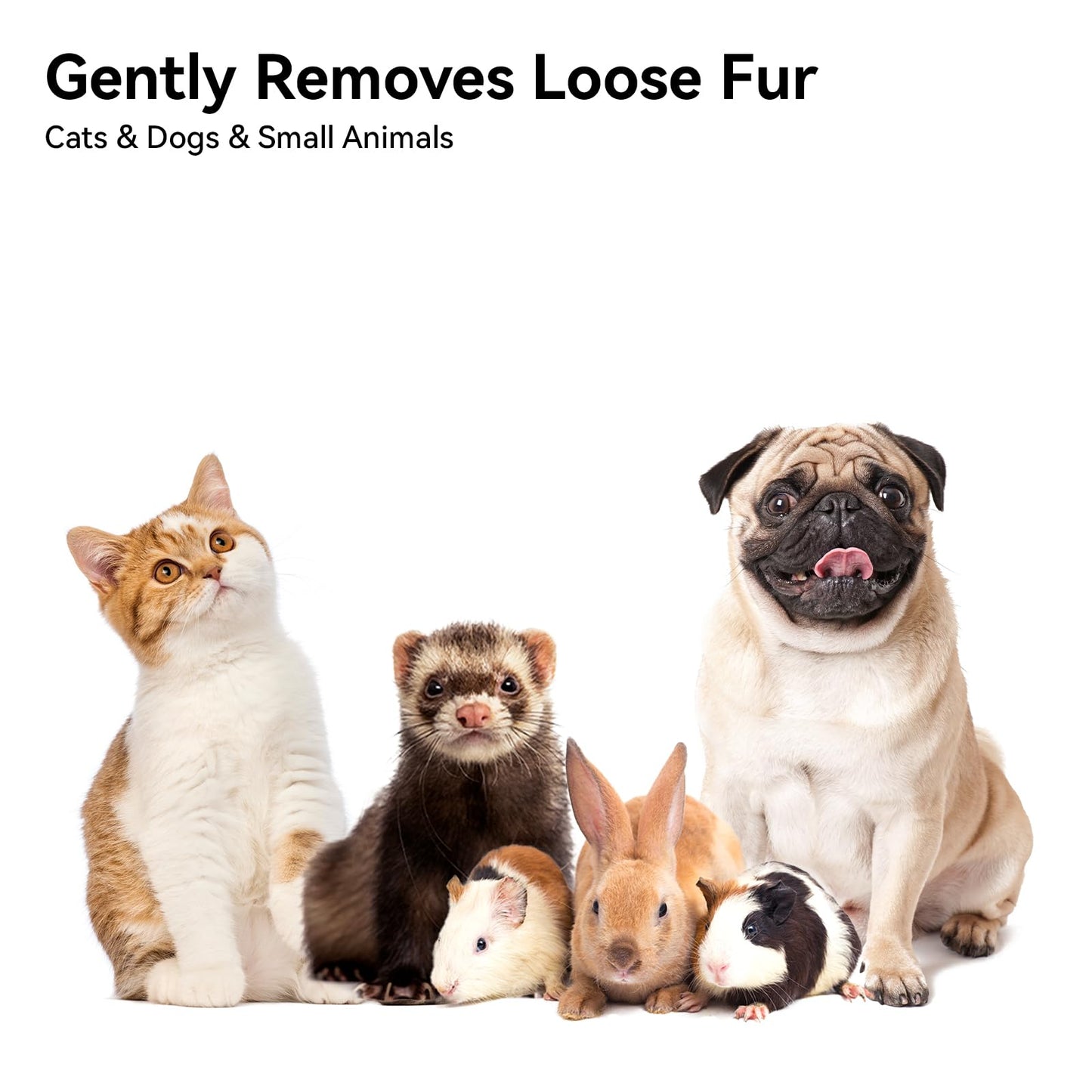 Aumuca Cat Grooming Brush for Long & Short Hair